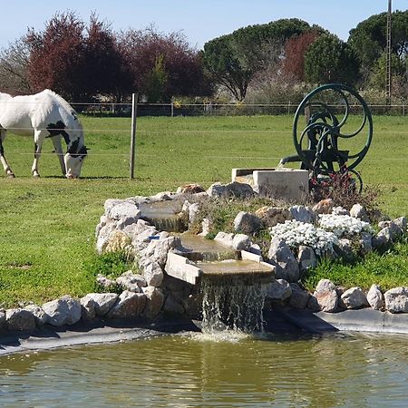 Domaine Christanna Acomodação com café da manhã Lisle-sur-Tarn Exterior foto