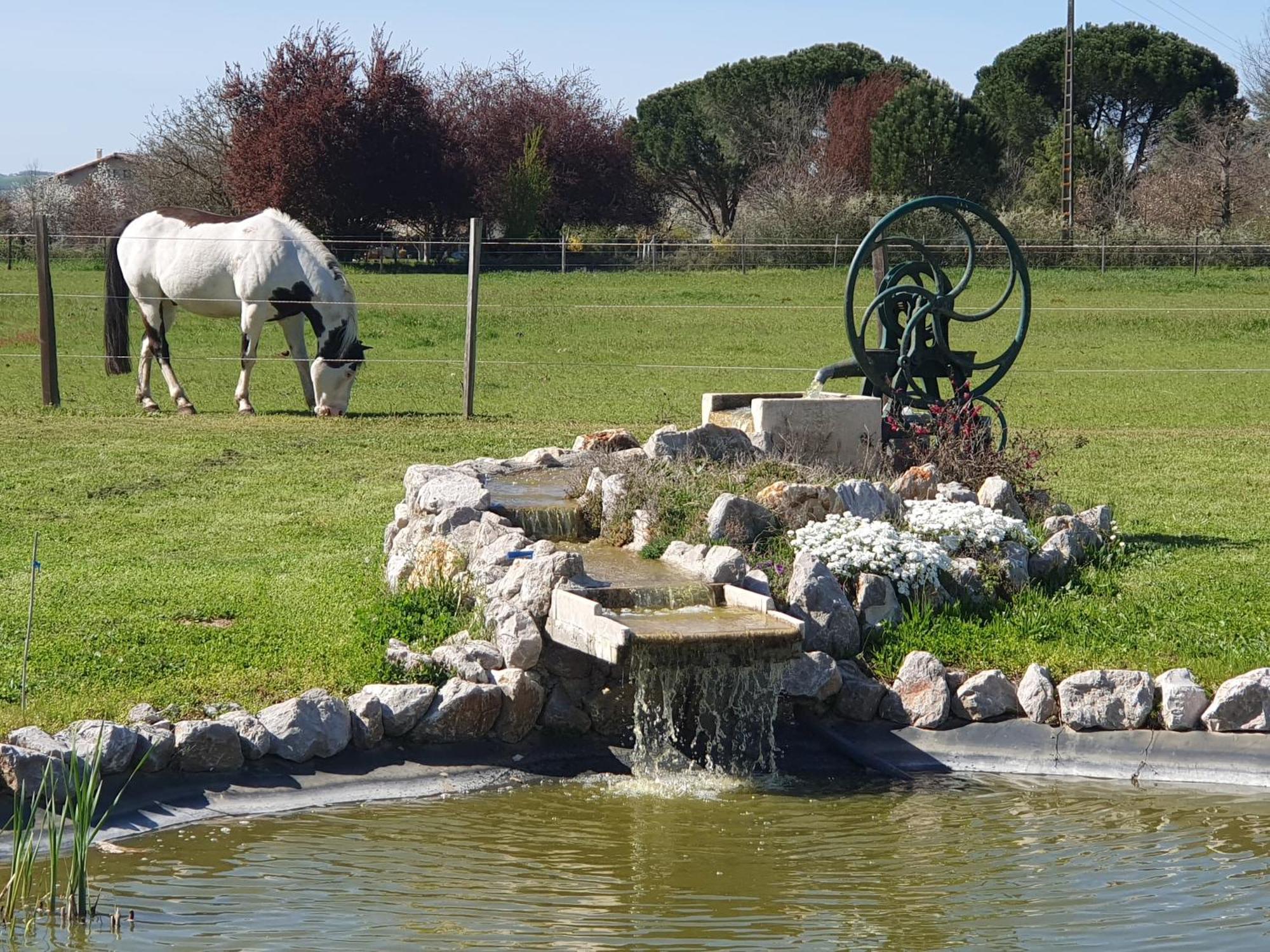 Domaine Christanna Acomodação com café da manhã Lisle-sur-Tarn Exterior foto